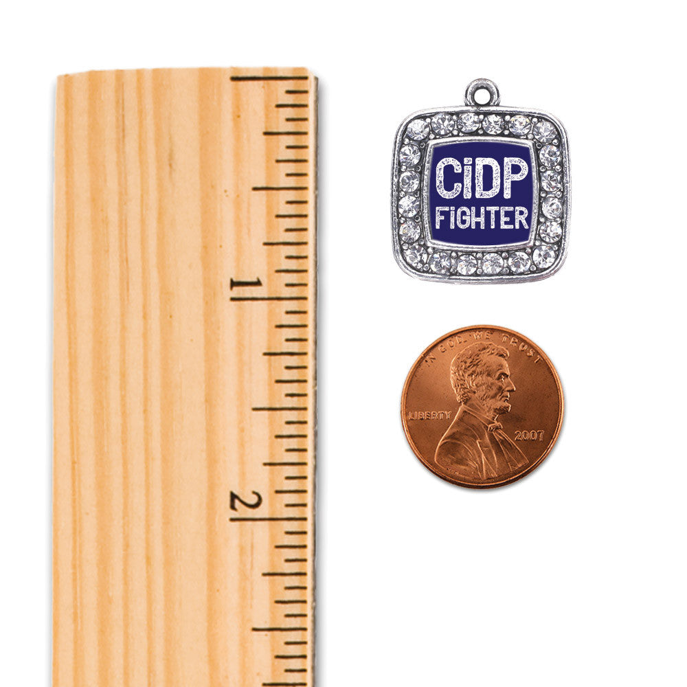 CIDP Fighter Square Charm